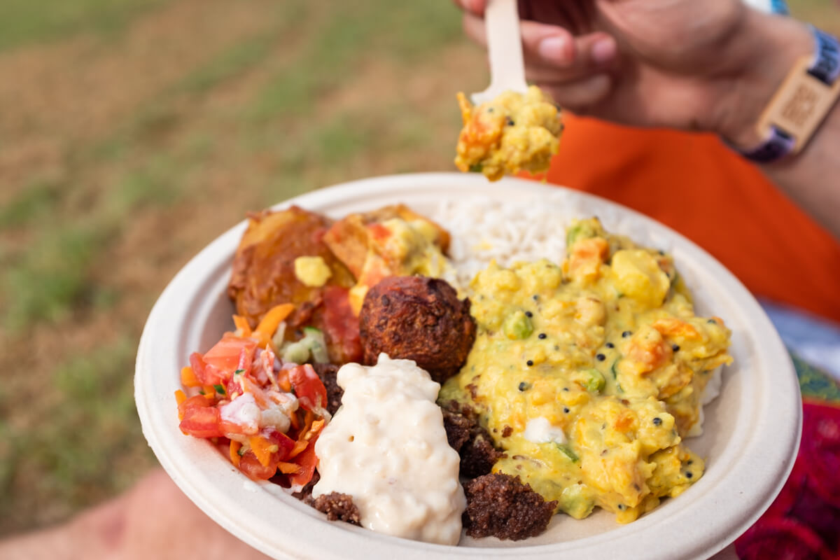A meal from One Love, a truck serving only gluten-free, vegan and vegetarian meals. Photo: Alex Blackwood.